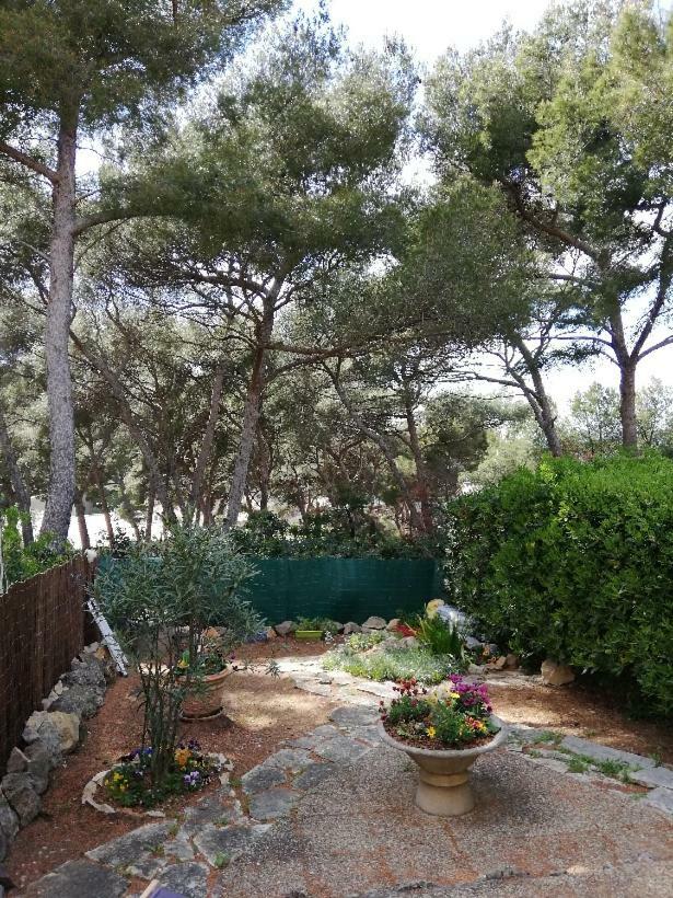 T2 Rez de jardin 300m Plage de Beaucours Sanary sur Mer Exterior foto